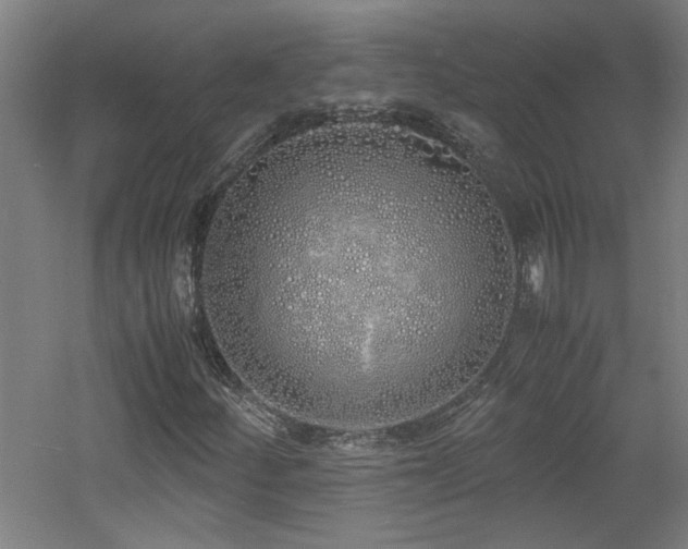 X0000060771252200511101205