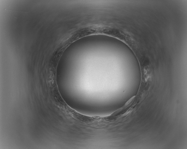 X0000060771253200511101205