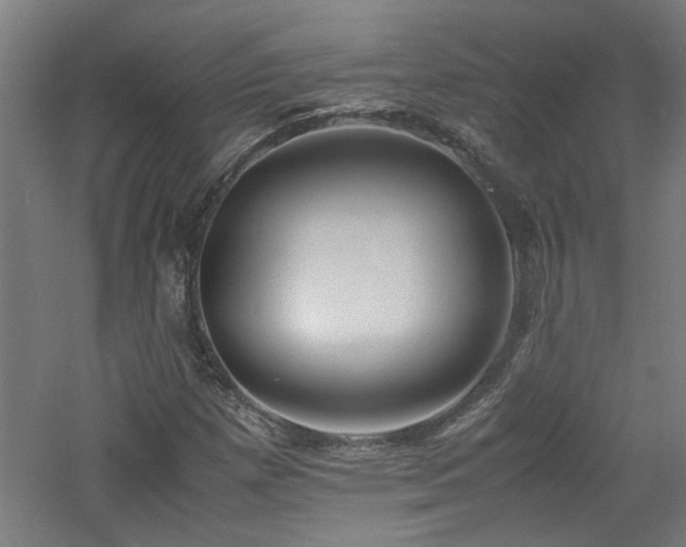 X0000060771257200511101205