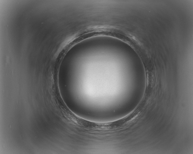 X0000060771261200511101205