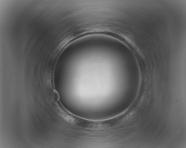 X0000060771273200511101204