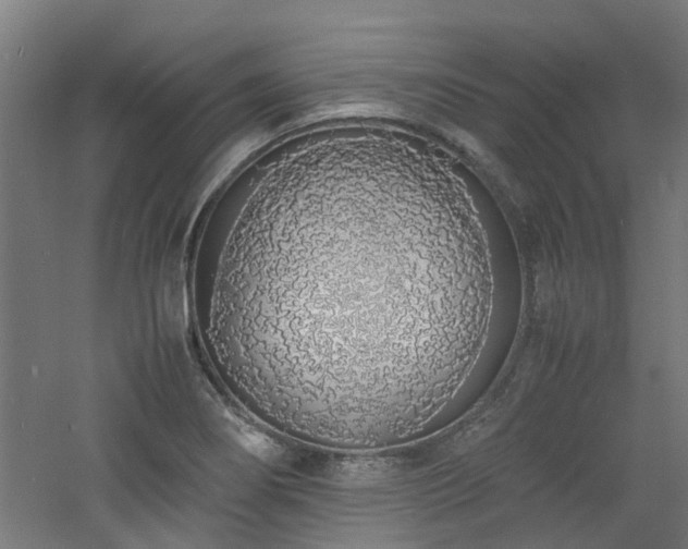 X0000060771274200511101204