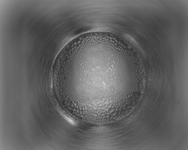 X0000060771276200511101204