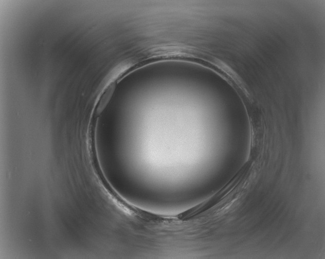 X0000060771285200511101204