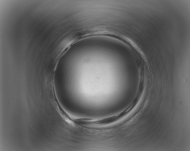 X0000060771289200511101204