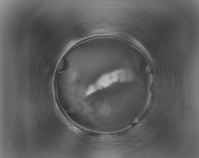 X0000060771291200511101204