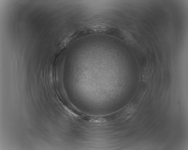 X0000060771298200511101203