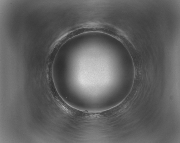 X0000060771304200511101203