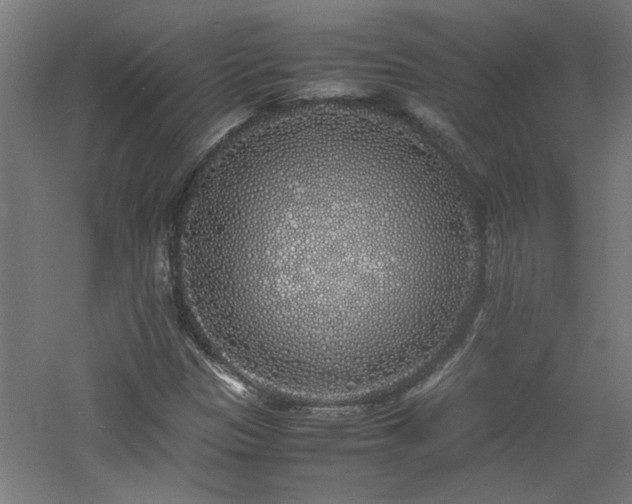 X0000060771305200511101203