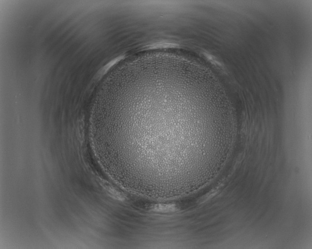 X0000060771313200511101203