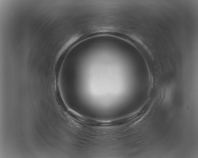 X0000060771317200511101203