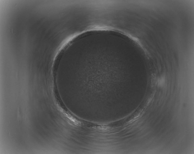 X0000060771319200511101204