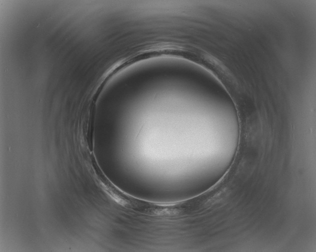 X0000060771321200511101204