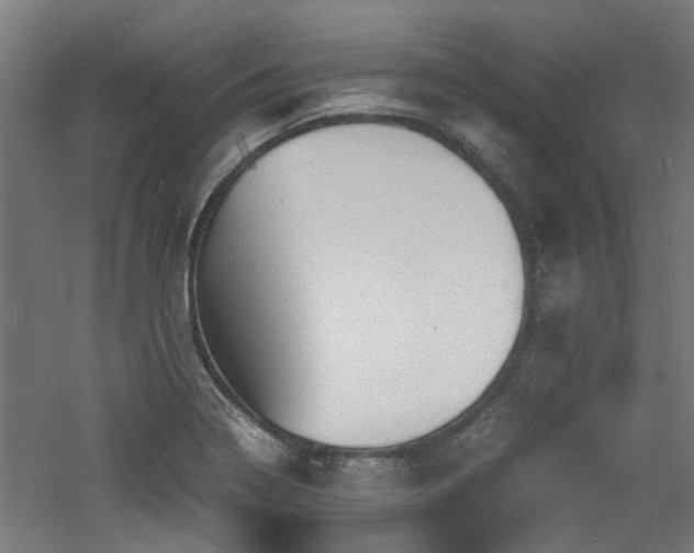 X0000060771322200511101204