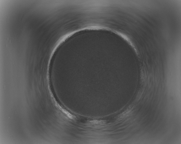 X0000060771327200511101204