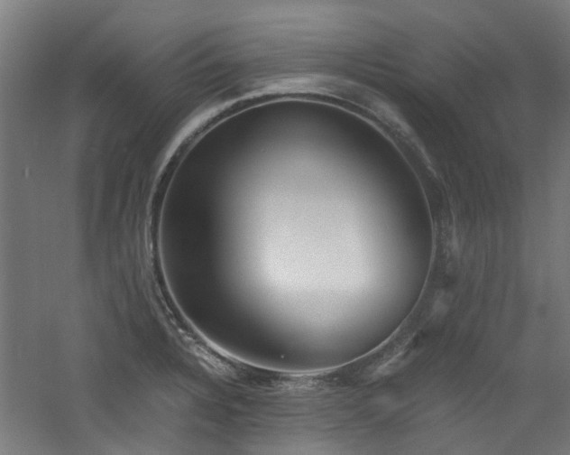 X0000060771328200511101204