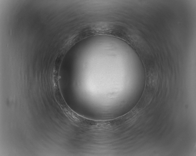 X0000060771346200511101203