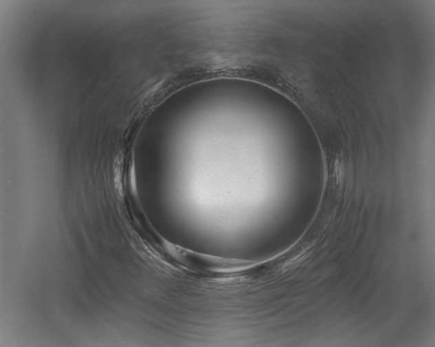 X0000060771348200511101203