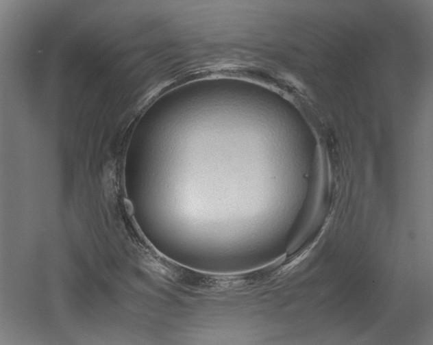 X0000060771353200511101203