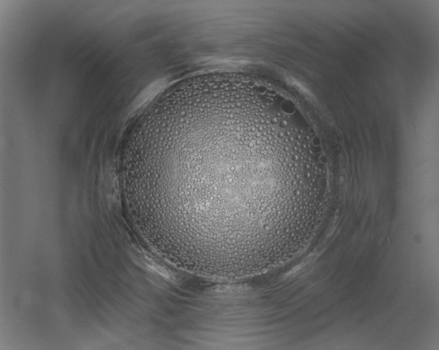 X0000060771354200511101203