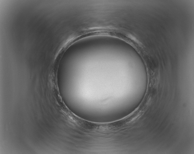 X0000060771357200511101203