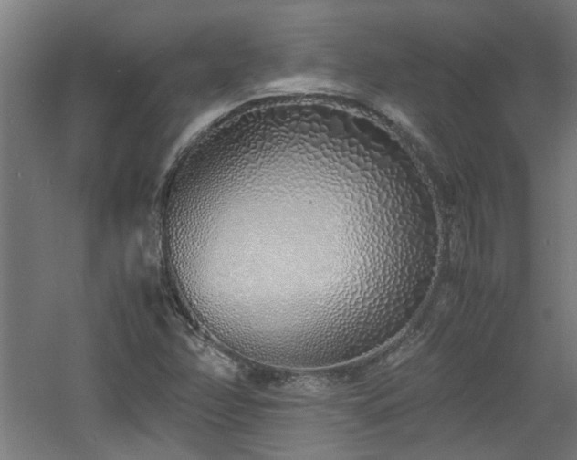 X0000060771358200511101203