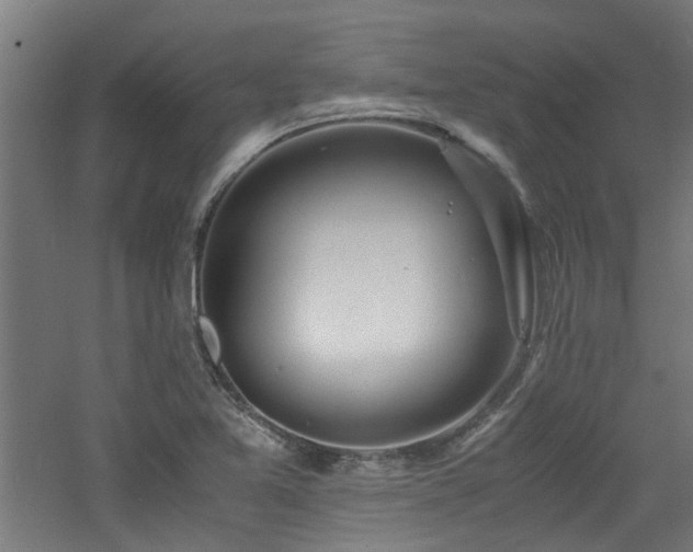 X0000060771365200511101203