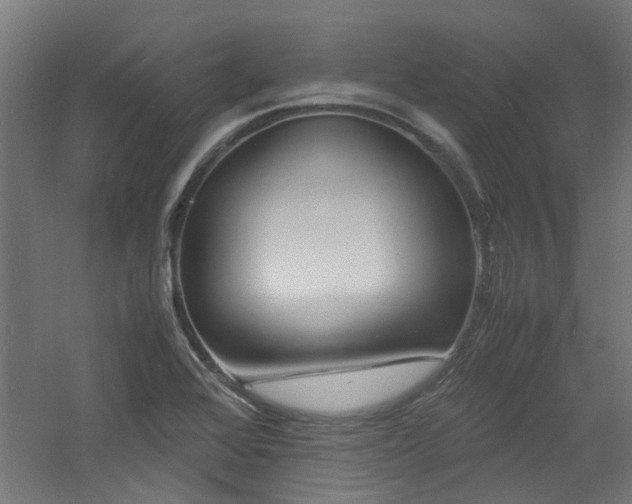 X0000060771368200511101203