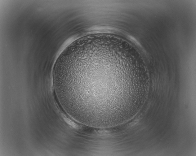 X0000060771370200511101203