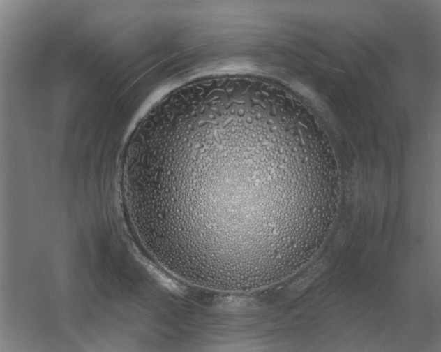 X0000060771374200511101203
