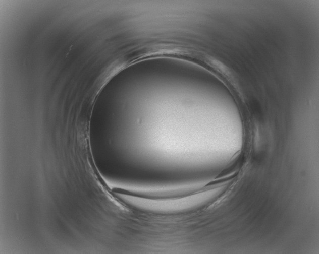 X0000060771377200511101203