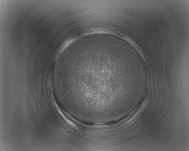 X0000060771385200511101202