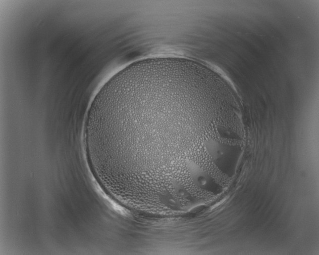 X0000060771387200511101202