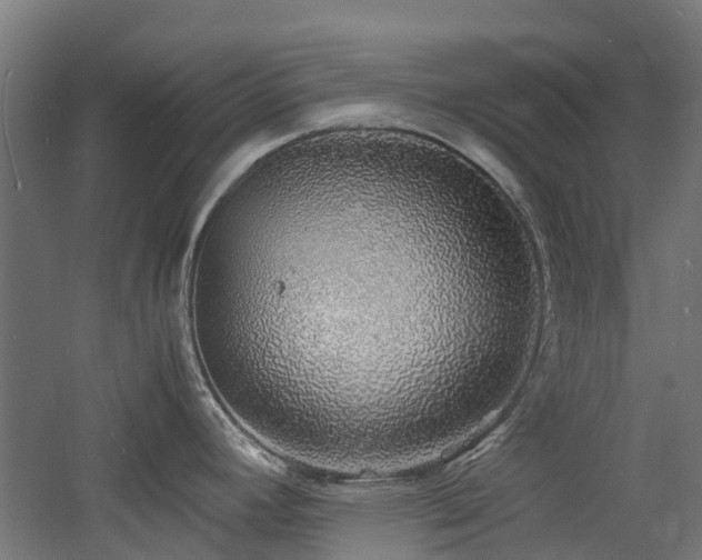 X0000060771392200511101202