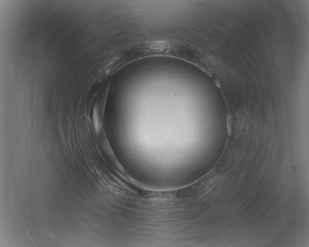 X0000060771394200511101202