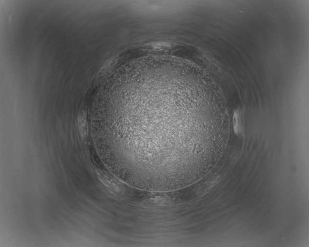 X0000060771395200511101202