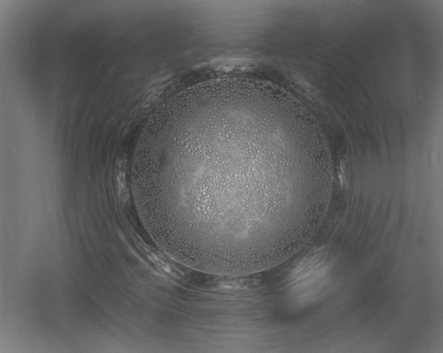 X0000060771396200511101202
