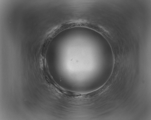 X0000060771398200511101202
