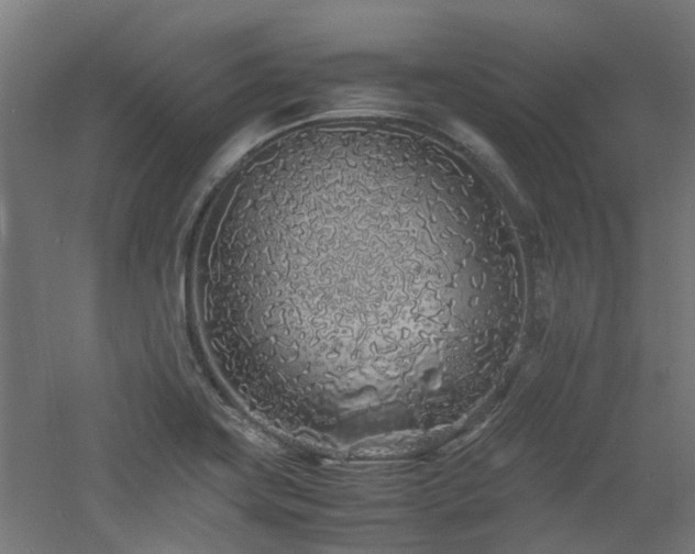 X0000060771419200511101202