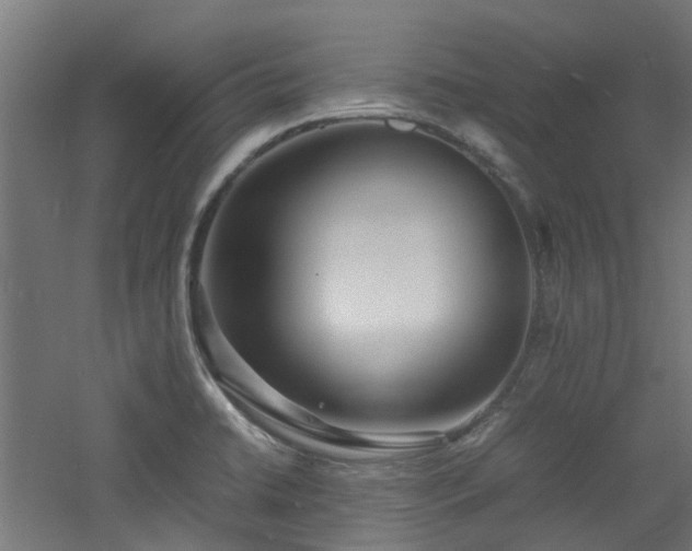 X0000060771422200511101202