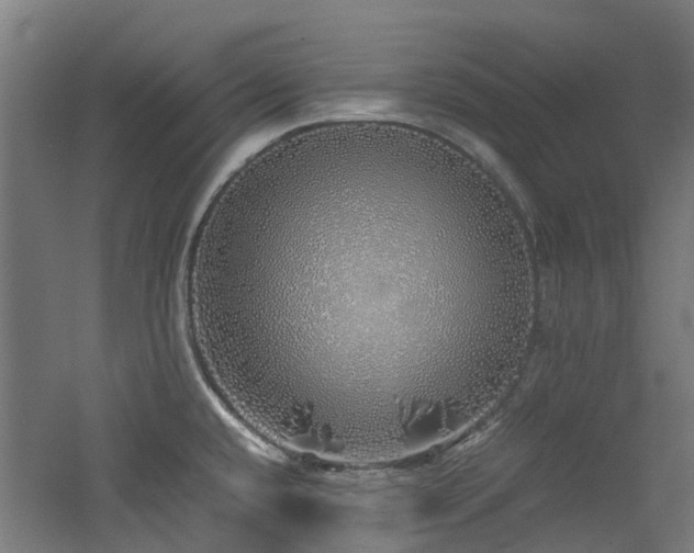 X0000060771432200511101202