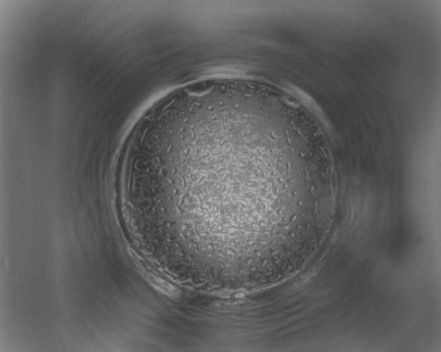X0000060771435200511101202