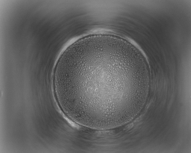 X0000060771437200511101202