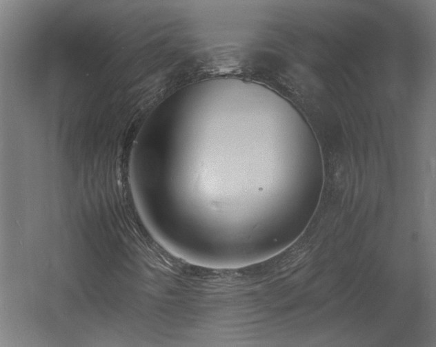 X0000060771442200511101201