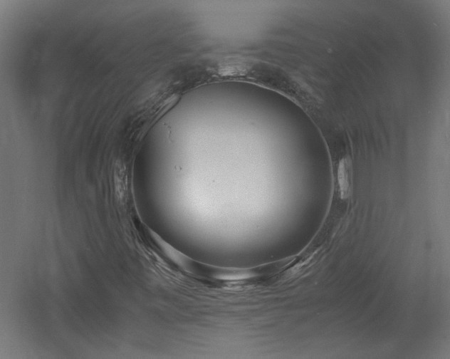 X0000060771443200511101201