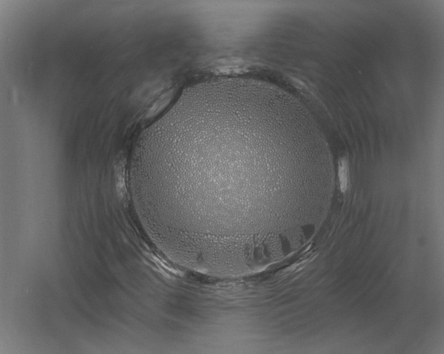 X0000060771444200511101201