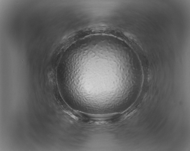 X0000060771445200511101201