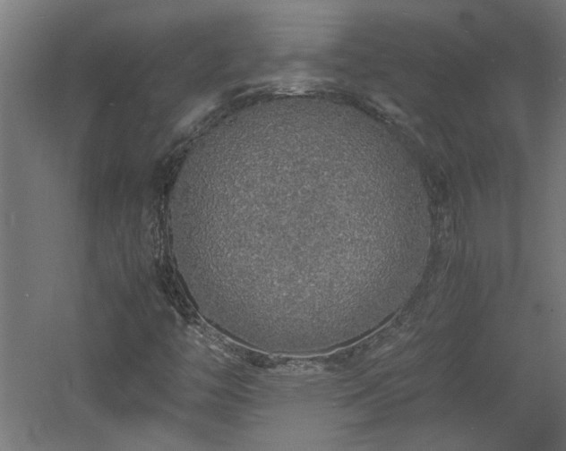 X0000060771446200511101201
