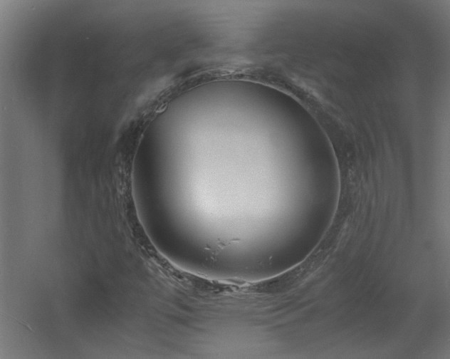X0000060771447200511101201