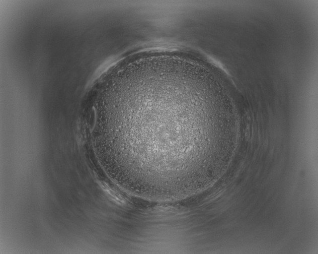 X0000060771448200511101201